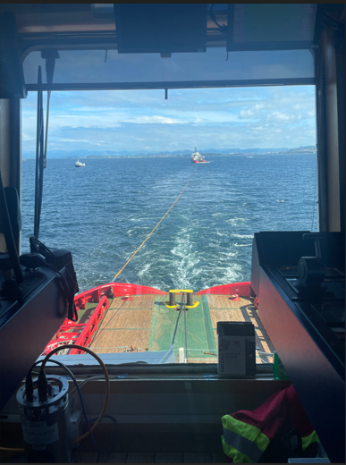 Debris Clearance Survey